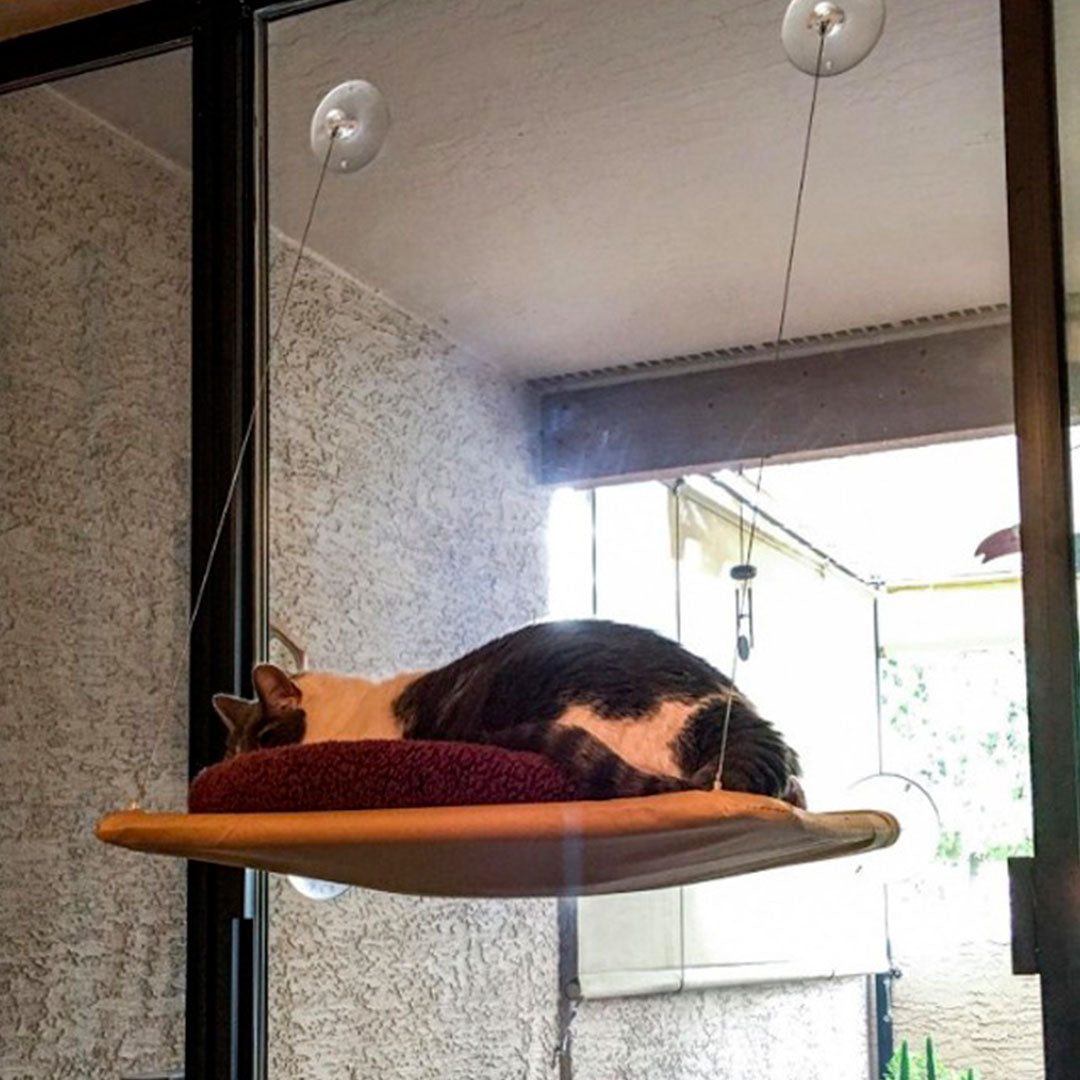 Hamac de fenêtre pour chat : 33 cm x 54 cm Anka