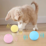 Balle Interactive Herbe à Chat | CNOK™