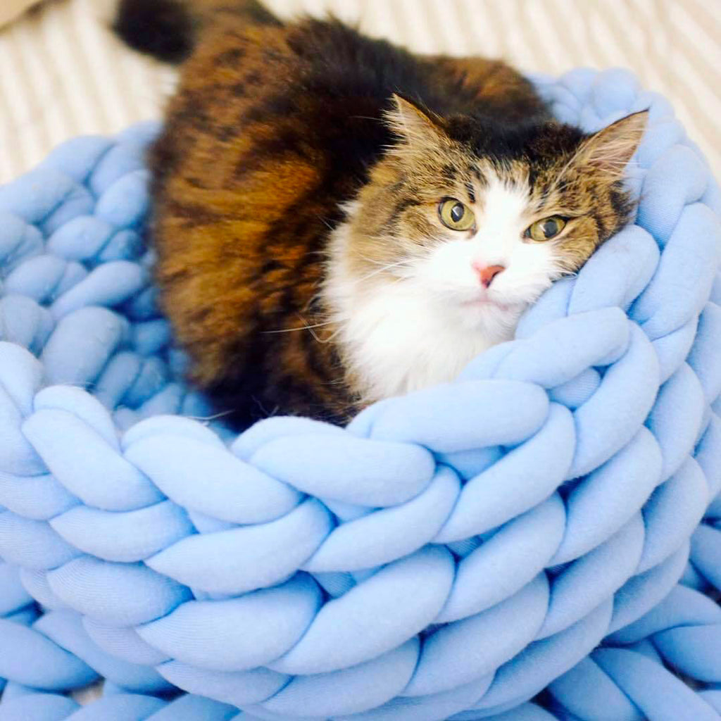 Panier pour chat en corde de coton tressé